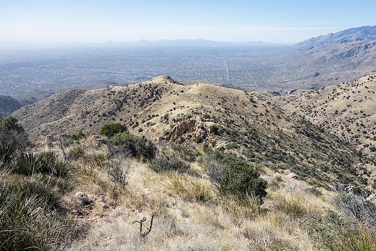 Looking down from Agua Caliente Hill. February 2015.