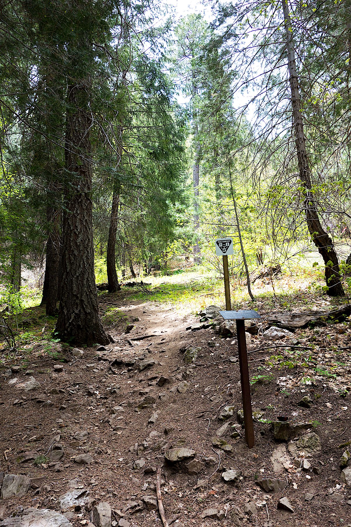 Trail sign at the junction for the trail to Ski Run Road. May 2014.