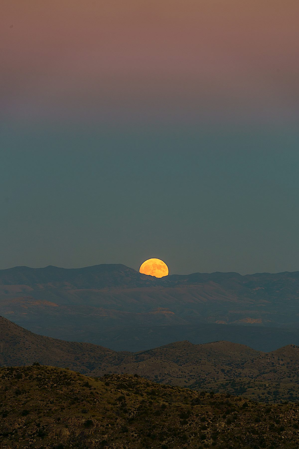 A Hunter's Moon rising over the Galiuro Mountains from just off the Bellota Trail on the ridge above Molino Basin. October 2016