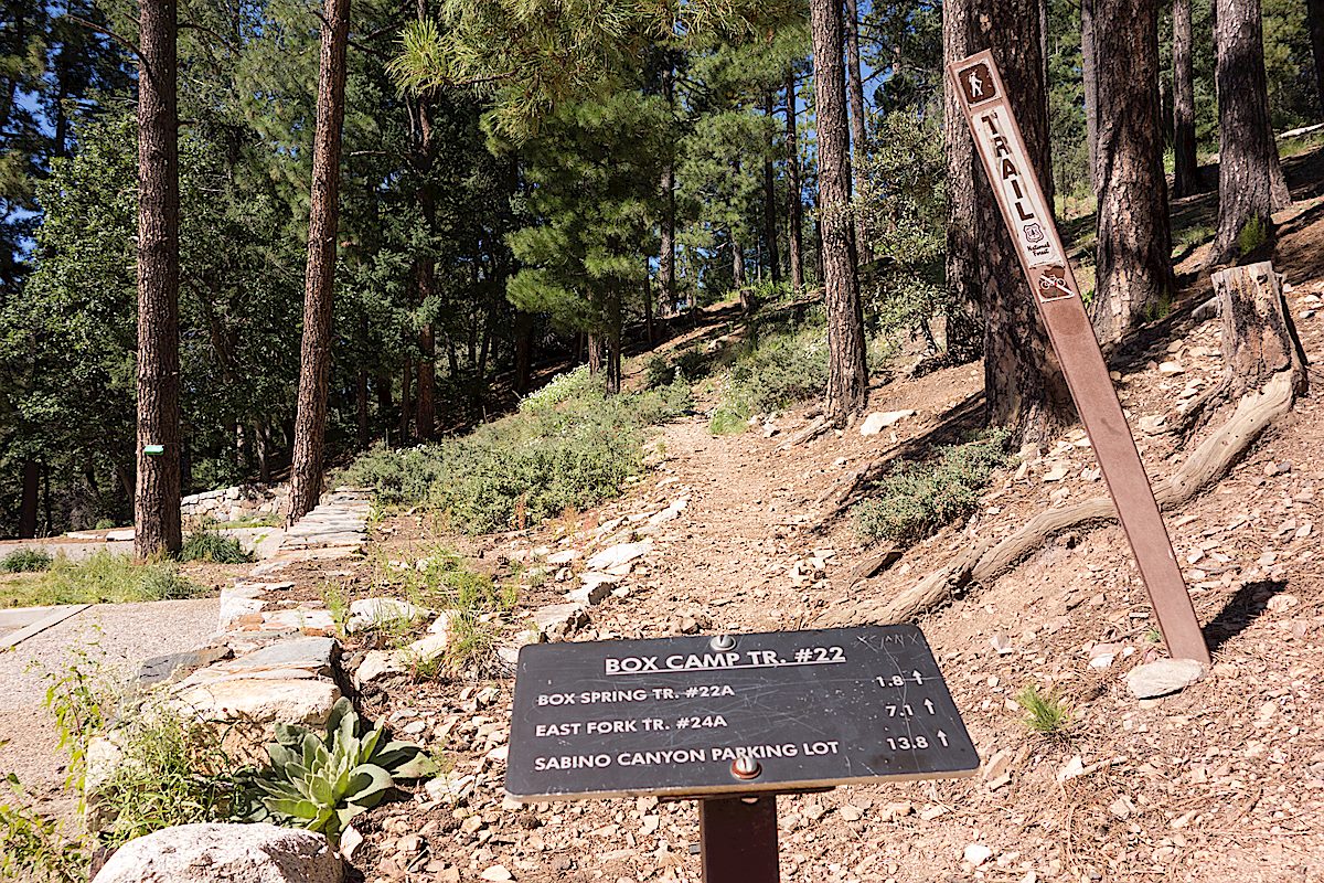 Small trail sign at the start of the Box Camp Trail at the Box Camp Trailhead. September 2014
