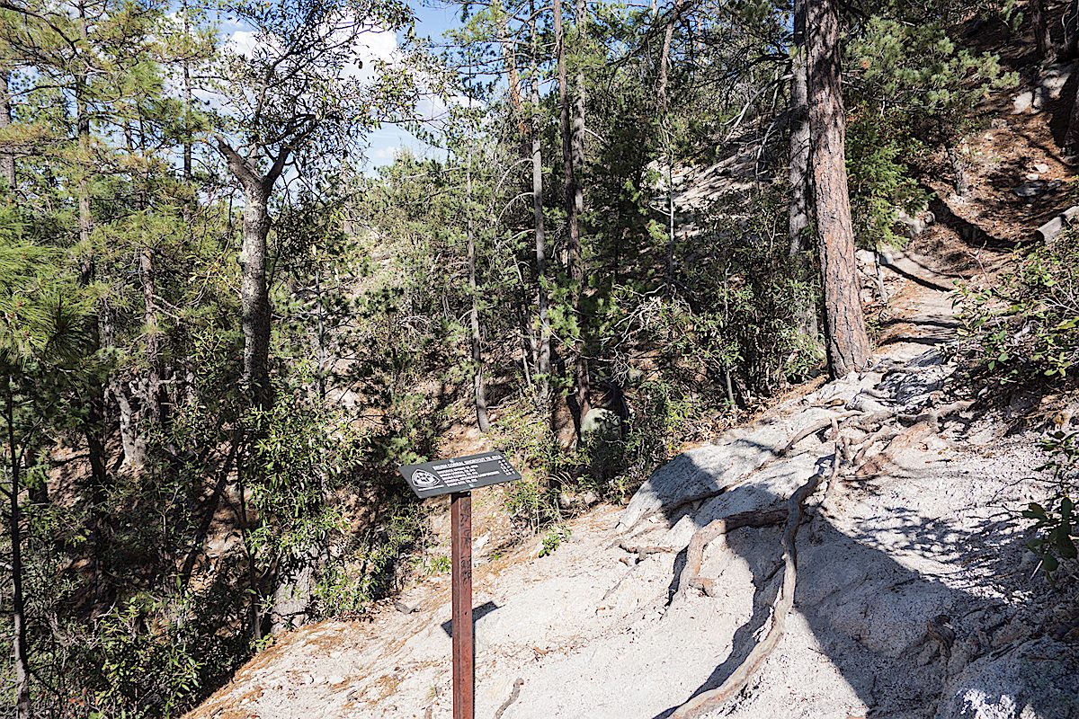 Upper Green Mountain and Brush Corral Shortcut Trail junction. July 2014