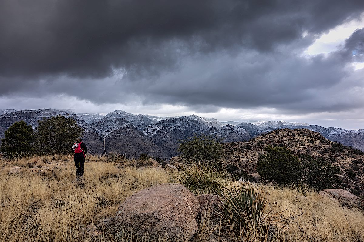 From the South Summit of Gibbon Mountain looking into the snow covered Santa Catalina Mountains. December 2013.