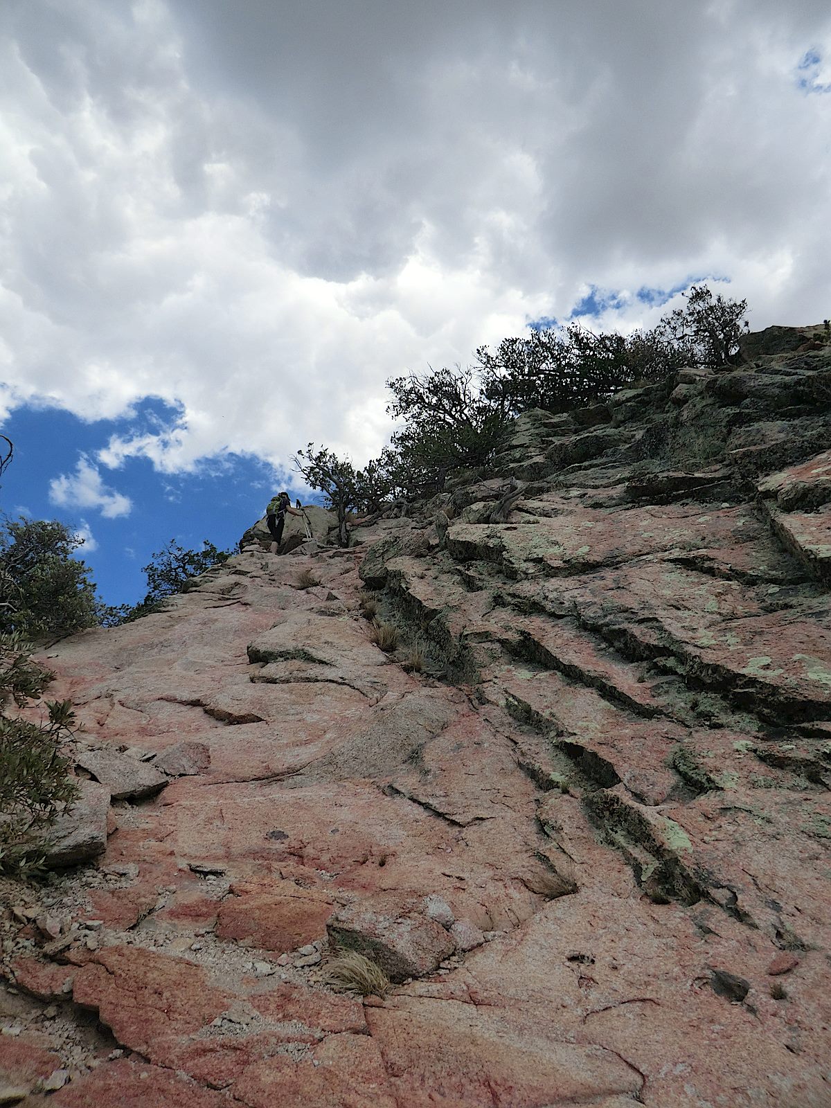 A steep and rocky section of trail near the summit of Guthrie Mountain. June 2012.