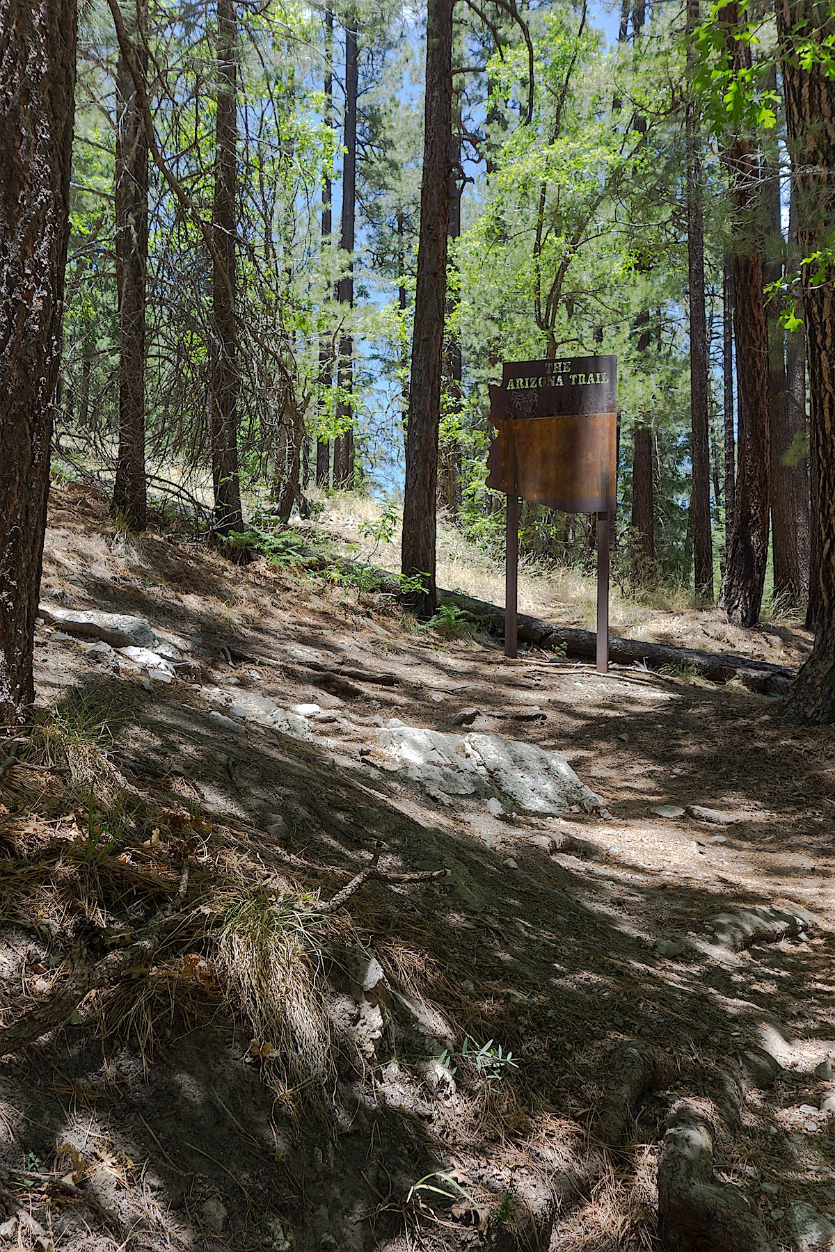AZ Trail Sign at the start of the Marshall Gulch Trail. June 2014.