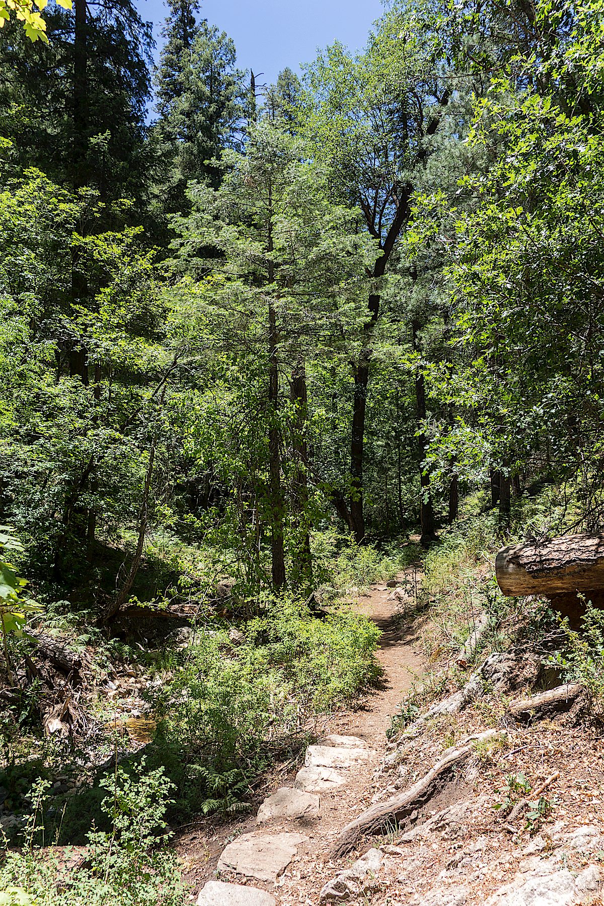AZ Trail Sign at the start of the Marshall Gulch Trail. June 2014.