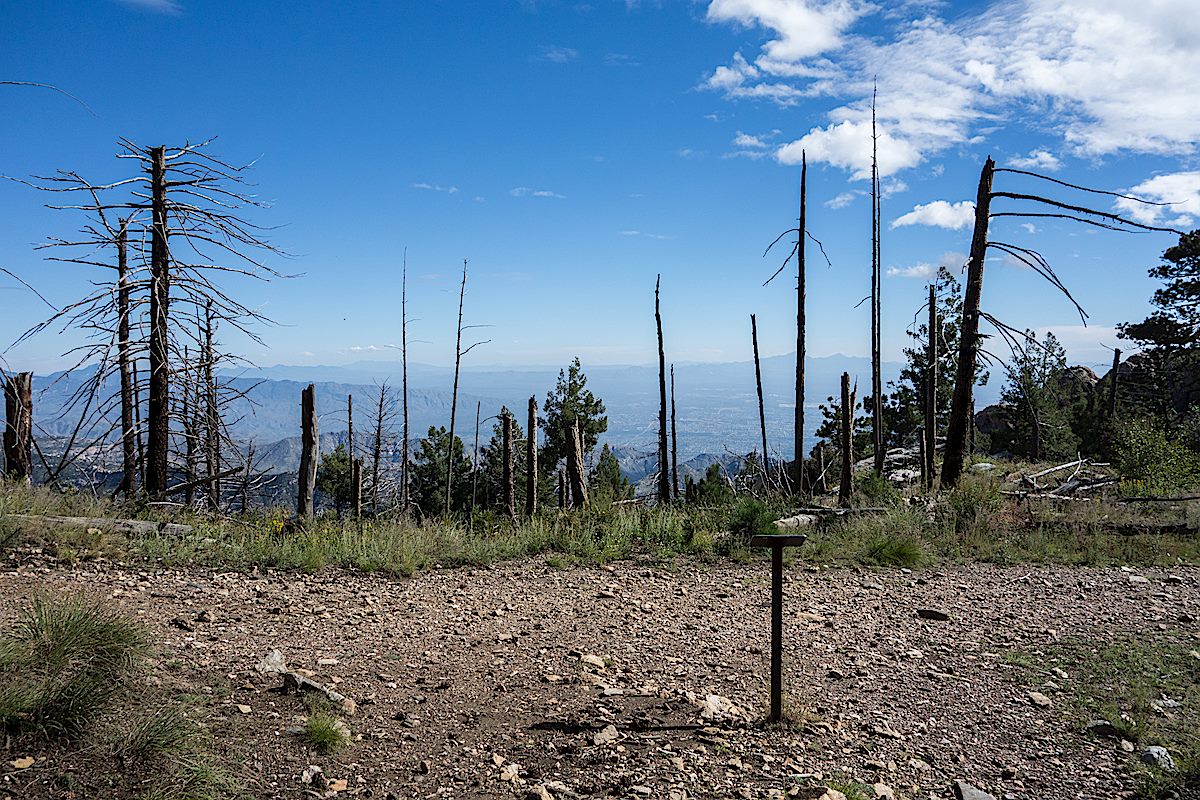 The signed western junction of the Meadow Trail and the Mount Lemmon Trail. September 2014.