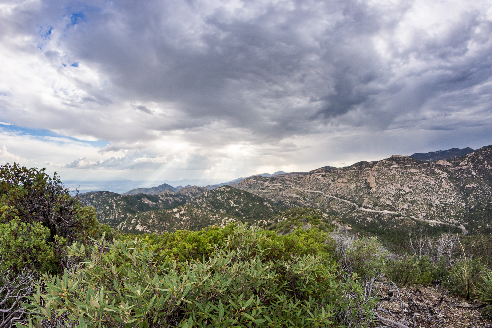 Looking across Bear Canyon from Point 6810 on the ridge east of Bear Canyon. August 2015.