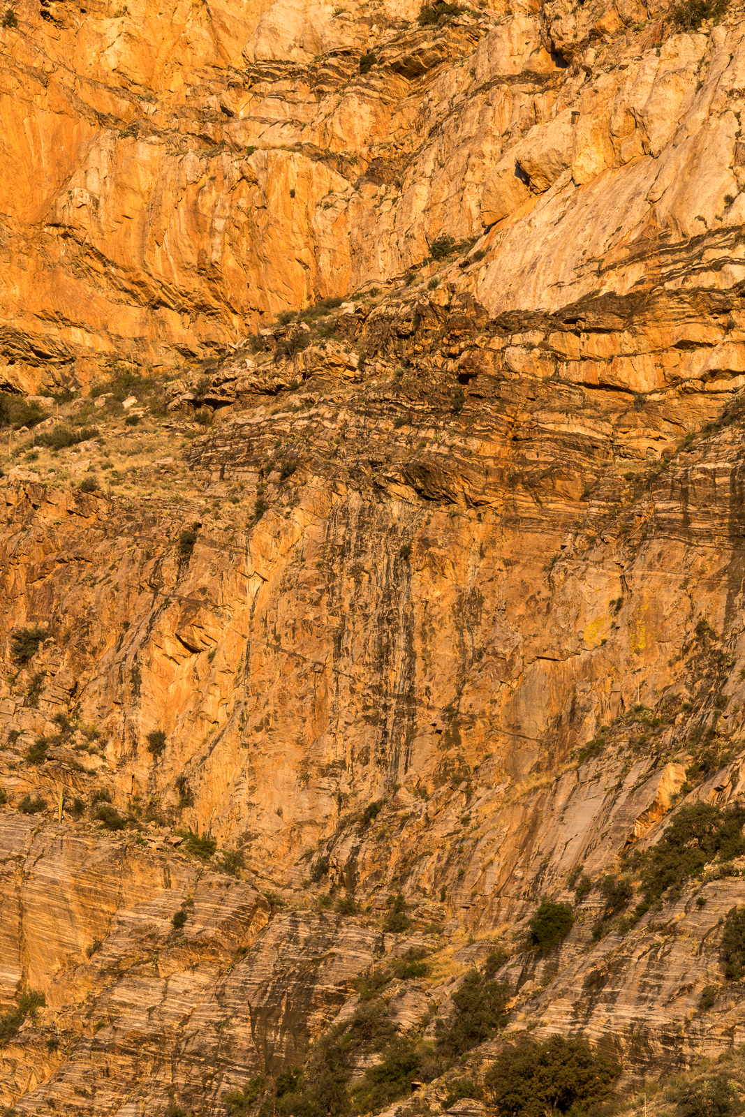 A section of the Pontatoc Ridge Cliffs. March 2016.