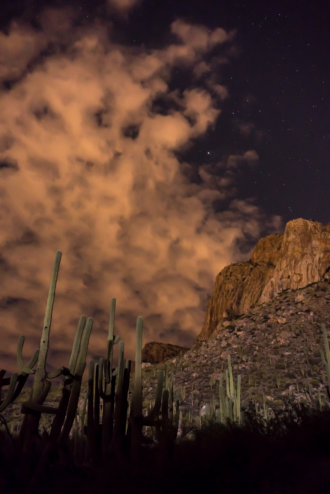 Saguaro, clouds, stars and Pusch Ridge from the Linda Vista Trails. April 2016.