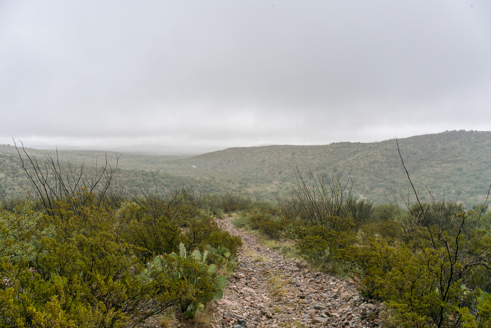 The road across the Mesa descends towards Mesa Well and off into the clouds. September 2016.