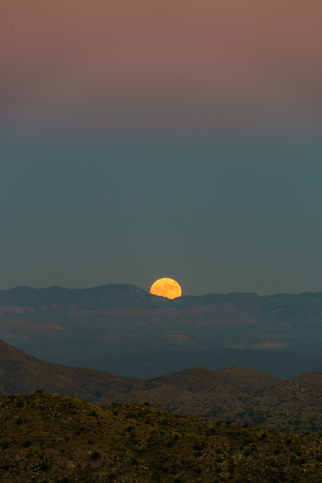A Hunter's Moon rising behind the Winchester Mountains - taken near the Bellota Trail. October 2016.