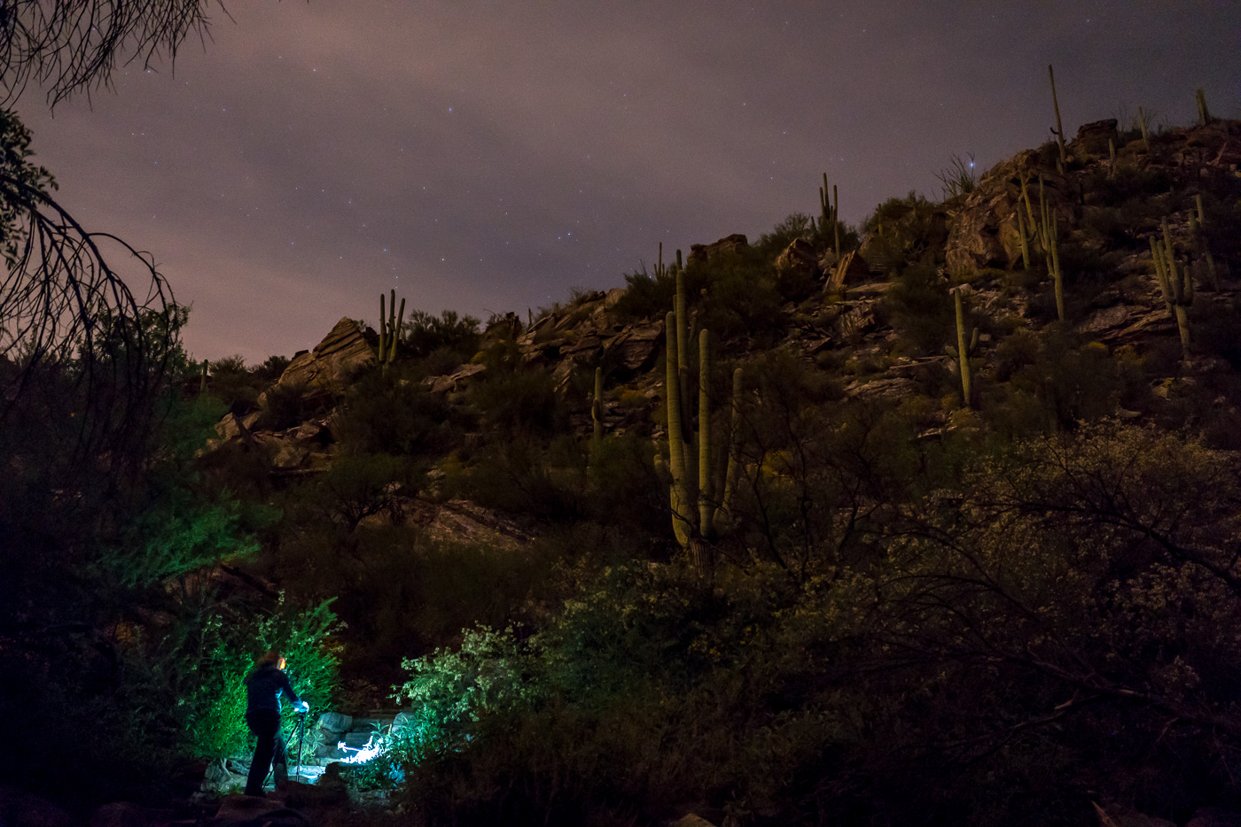 Capturing Images at night in Sabino Canyon. March 2017.