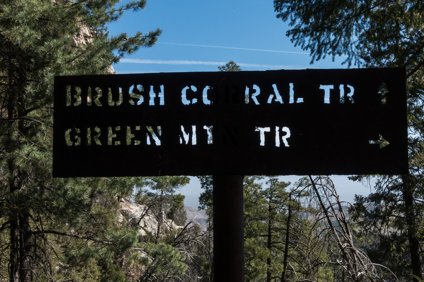 At the junction of the Brush Corral and Green Mountain Trails. April 2017.