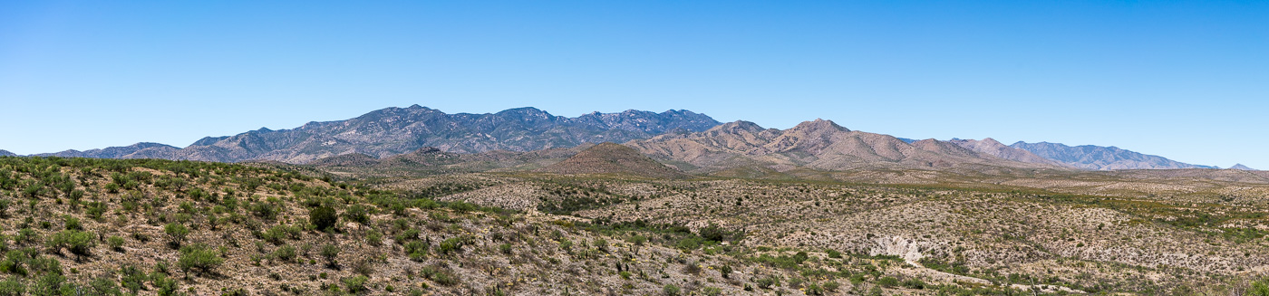 A view of the Santa Catalina Mountains from FR4407 Brush Corral Road. April 2017.