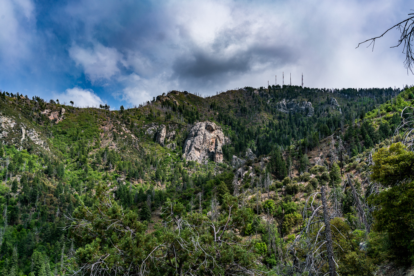 Mount Bigelow and the Butterfly Wall from the Butterfly Trail. May 2017.