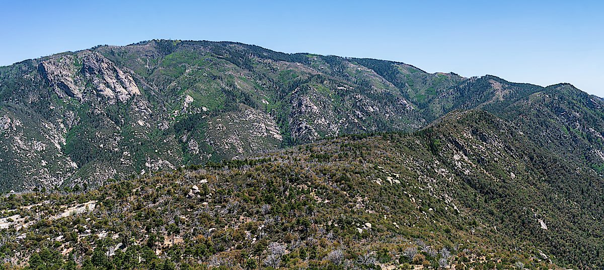 Looking back up at Mount Lemmon from Samaniego Peak - a long climb back up! May 2018.