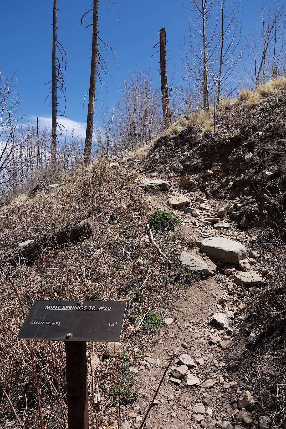 Small trail sign near the start of the trail. April 2014.