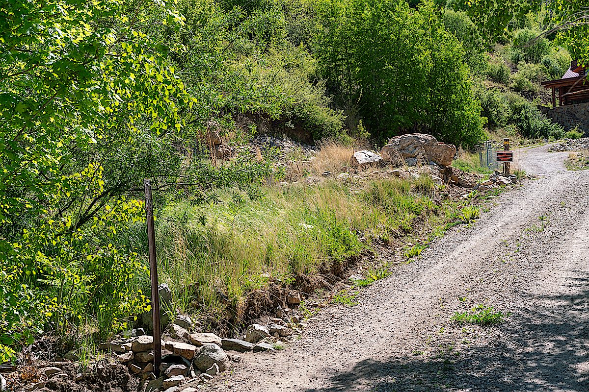 The start of the Mint Spring Trail nearly one year earlier than the picture to the left. August 2017.