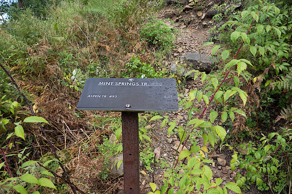 Small trail sign near the start of the trail. September 2014.