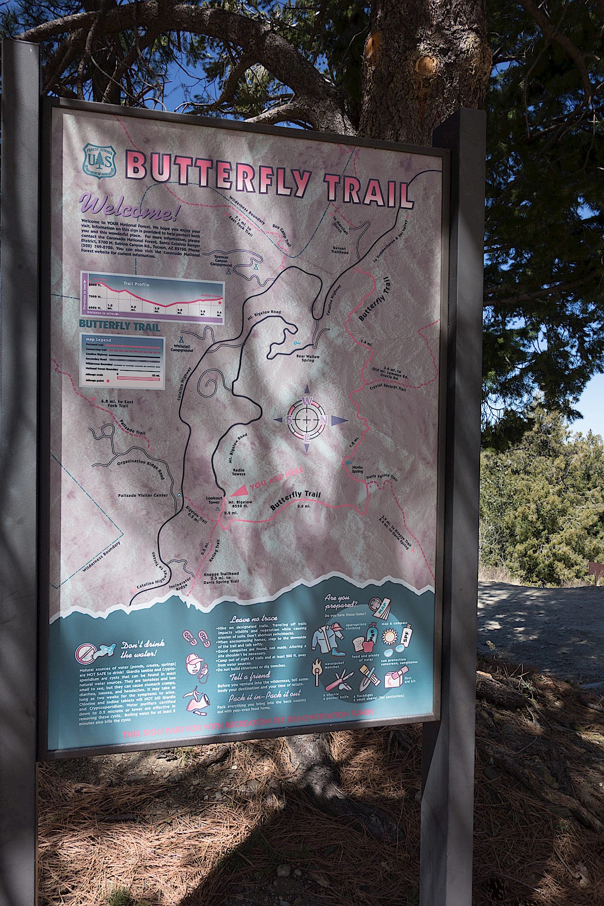 Large trailhead sign for the Butterfly Trail near the dirt parking area. April 2014.