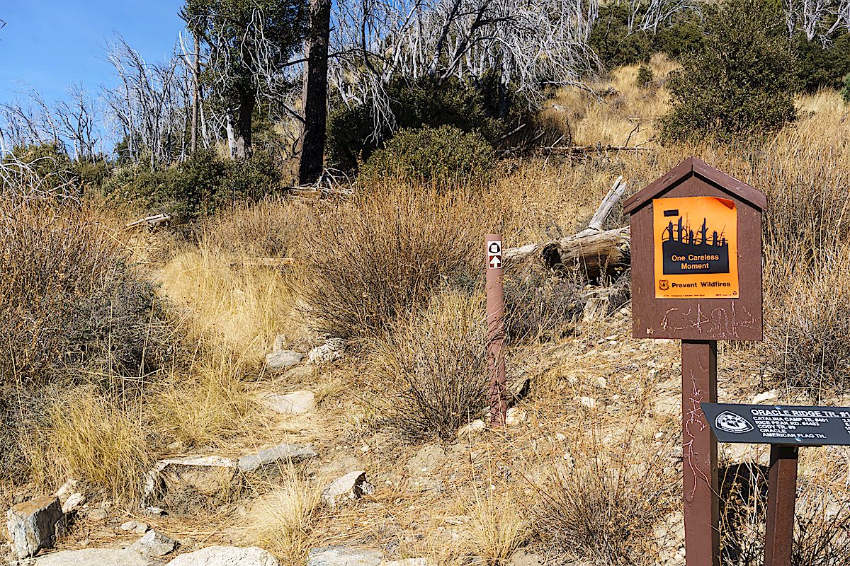The start of the Oracle Ridge Trail at the Oracle Ridge Trailhead with an Arizona Trail Marker visible. December 2016.
