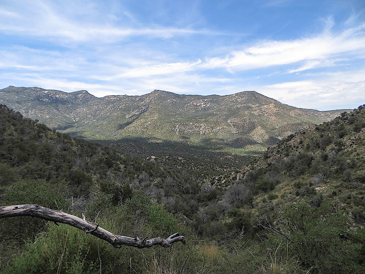 Looking down on the lower section of the trail that winds down to the CDO - Samaniego Ridge in the background. August 2013.