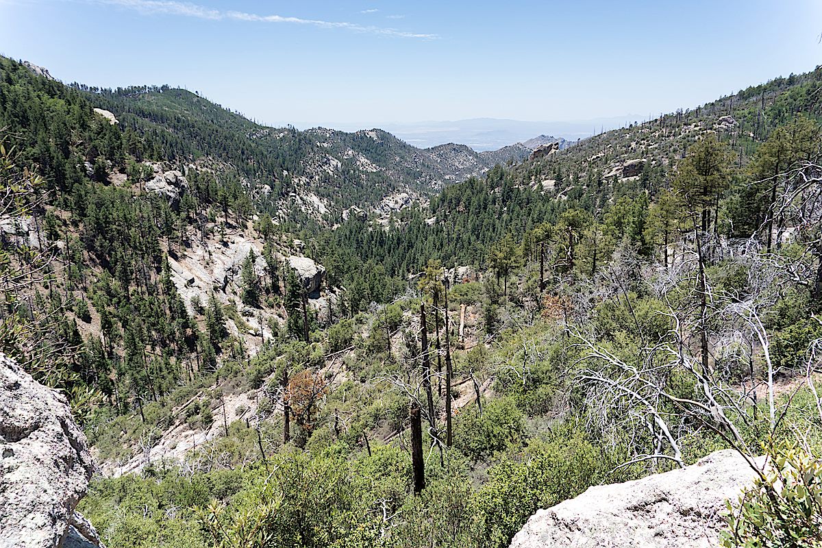 Looking down Sabino Canyon from the Sunset Trail. June 2014.
