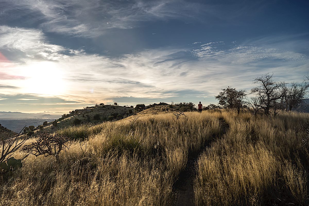 Nearing sunset on the Agua Caliente Hill Trail. December 2013.