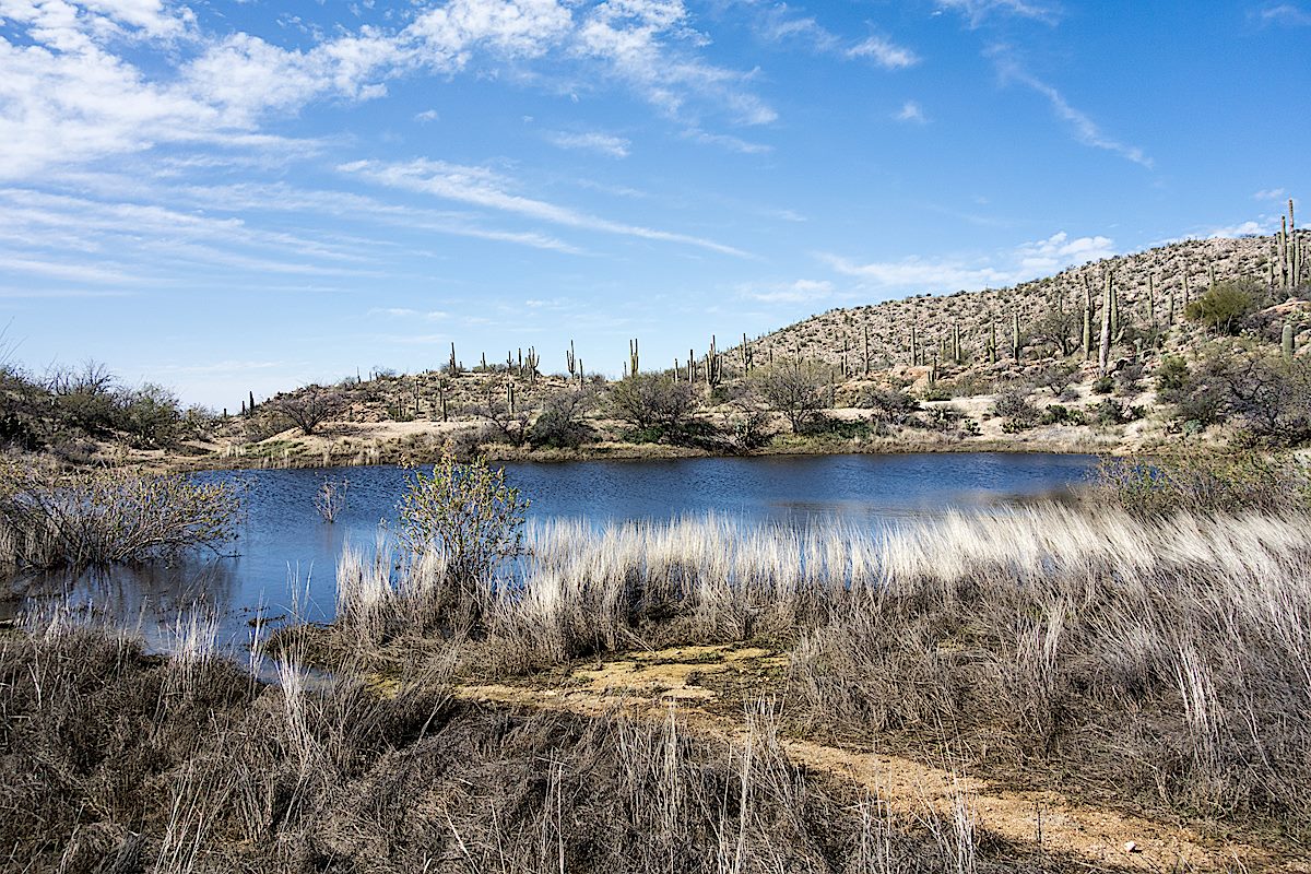 Looking down from Agua Caliente Hill. February 2015.