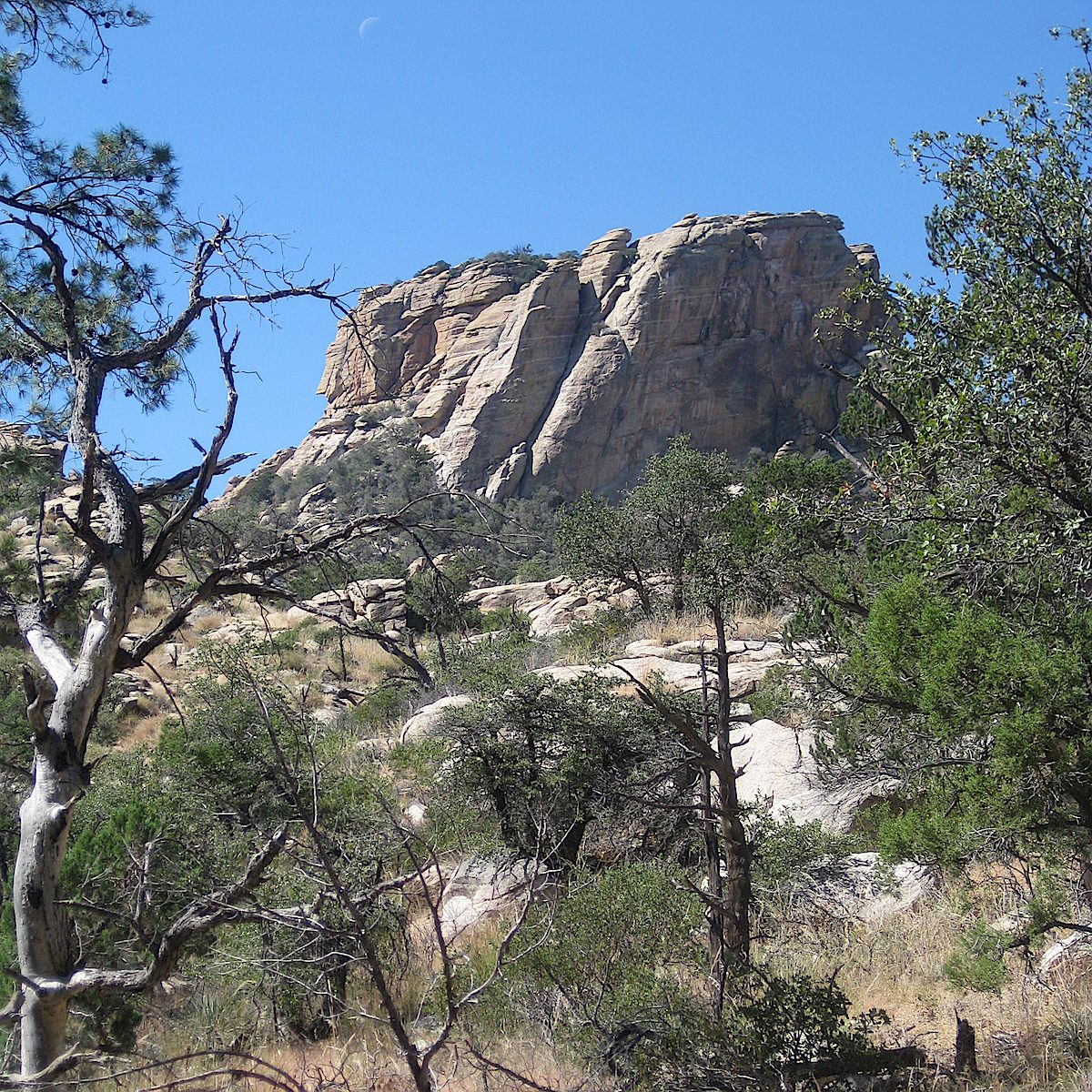 The cliffs surrounding Airmen Peak with the moon barely visible - looking up from Molino Canyon. October 2011