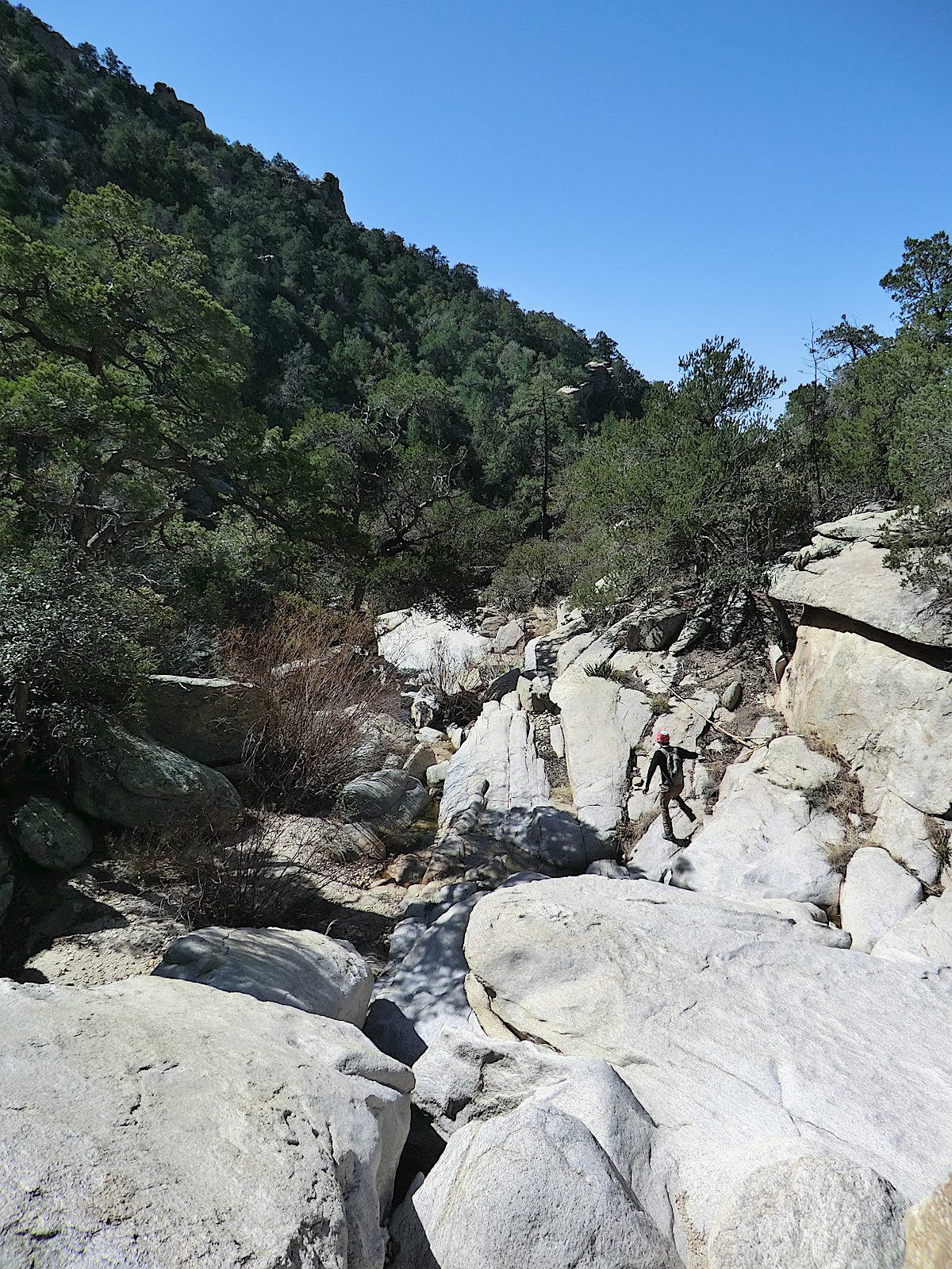 Headed down the rugged West Fork of Molino. March 2012