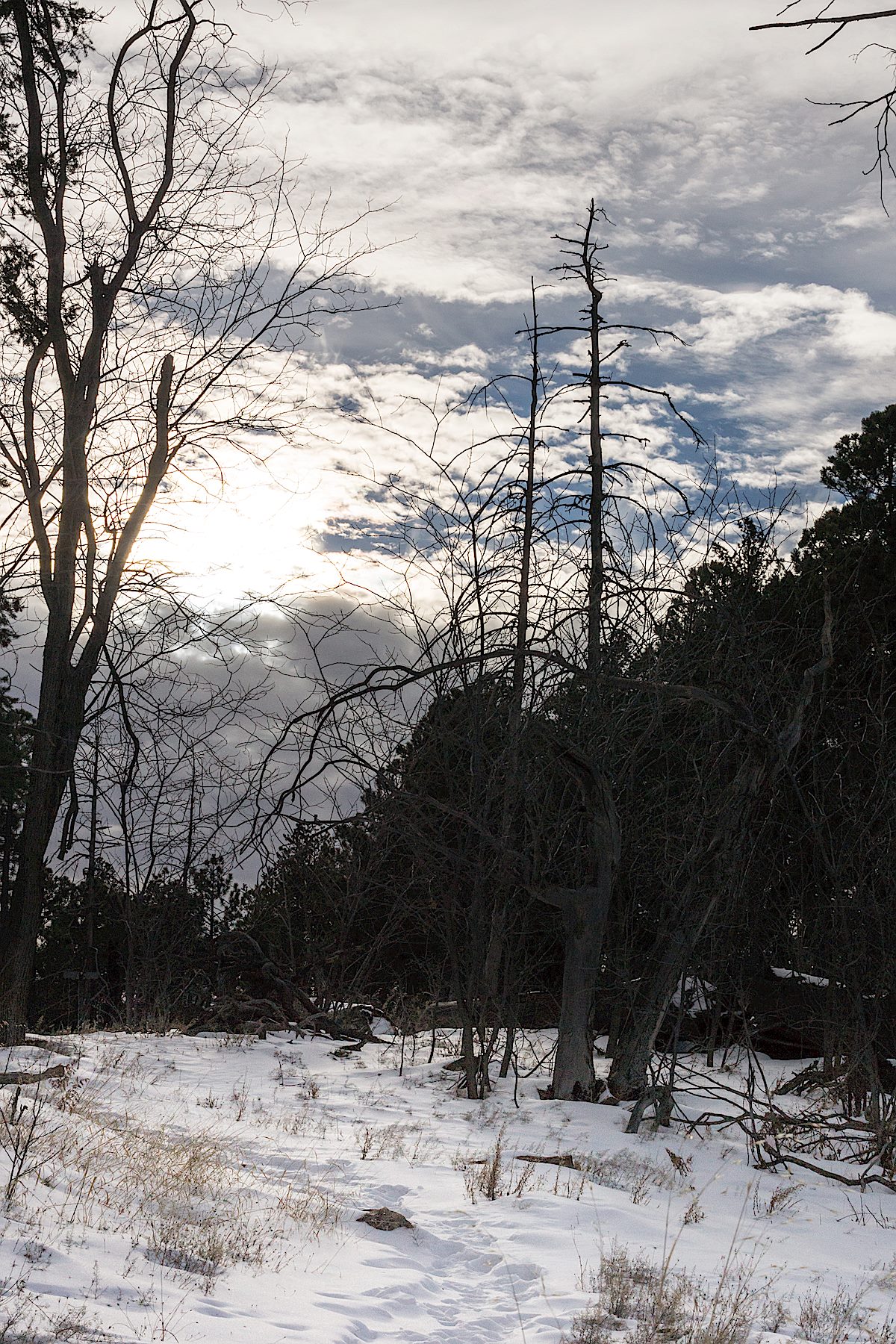 Snow at the junction of the Kellogg Mountain, Butterfly and Bigelow Trails. December 2014