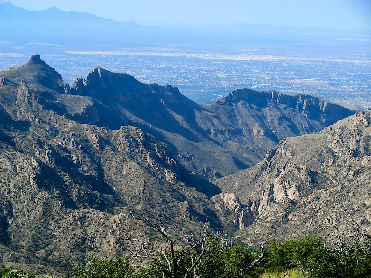 A view of the ridge between Sabino and Bear Canyon from the Box Camp Trail - from the left: Thimble Peak, Saddleback and then Blackett's Ridge! August 2013