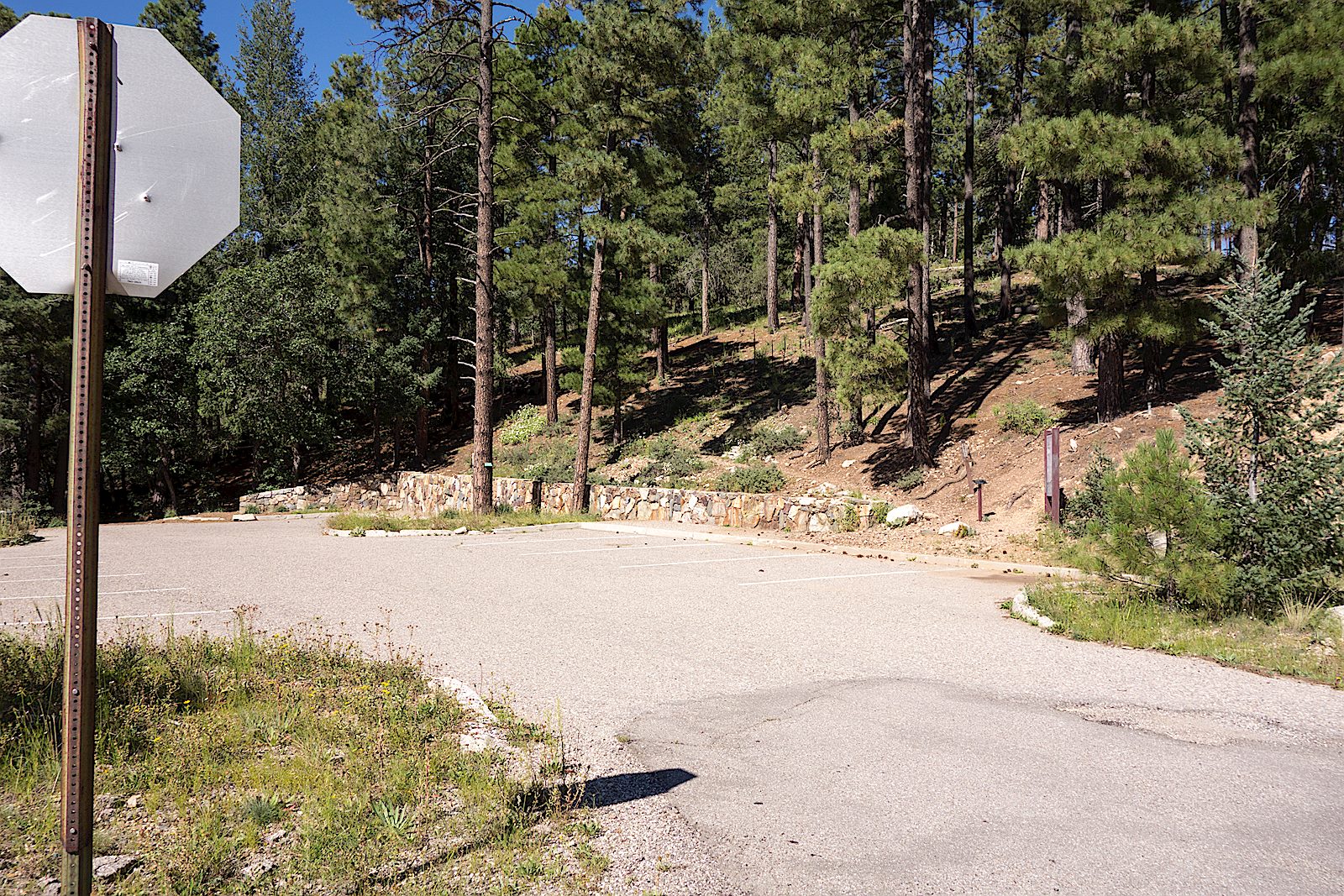 Box Camp Trailhead Hike Lemmon!