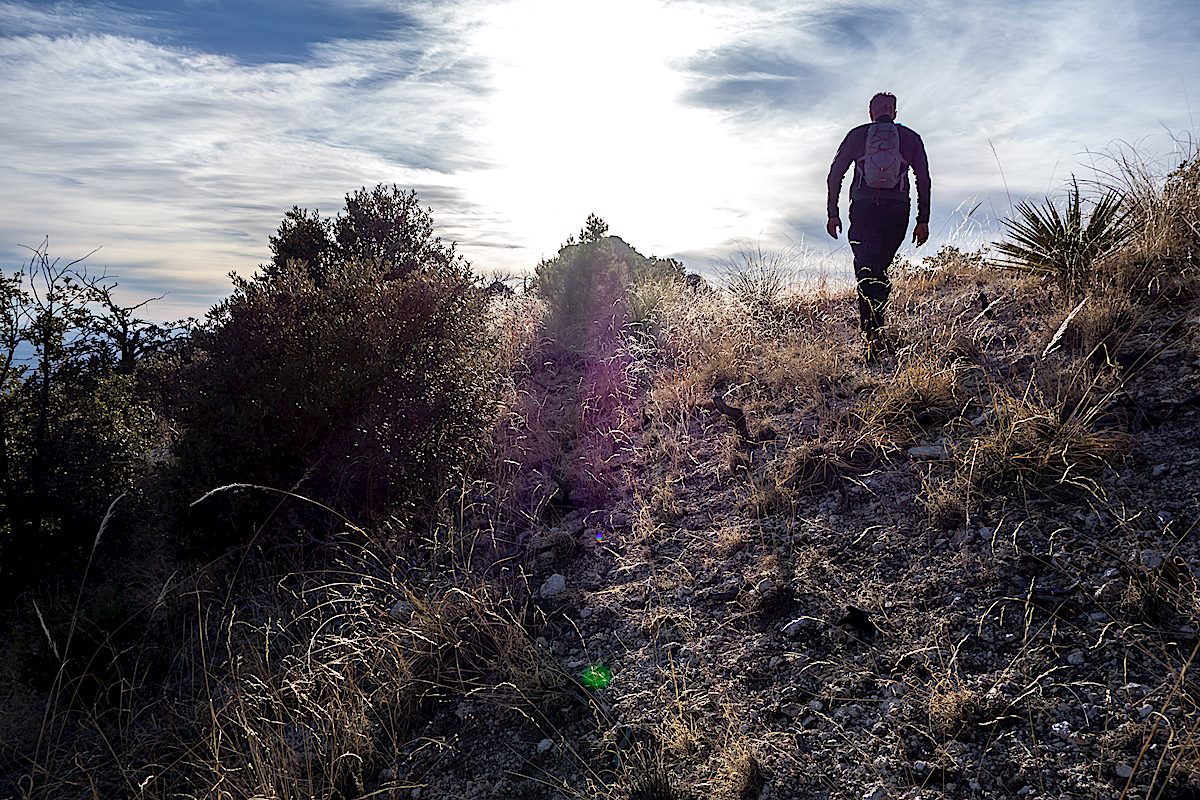 Hiking into the sun on the last section of ridge to Brinkley Point. January 2014