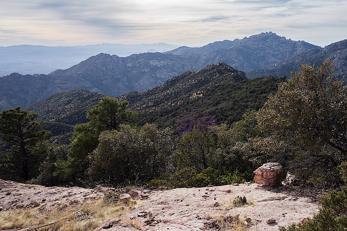 The ridge to Brinkley Point with Brinkley Point on the right. January 2014