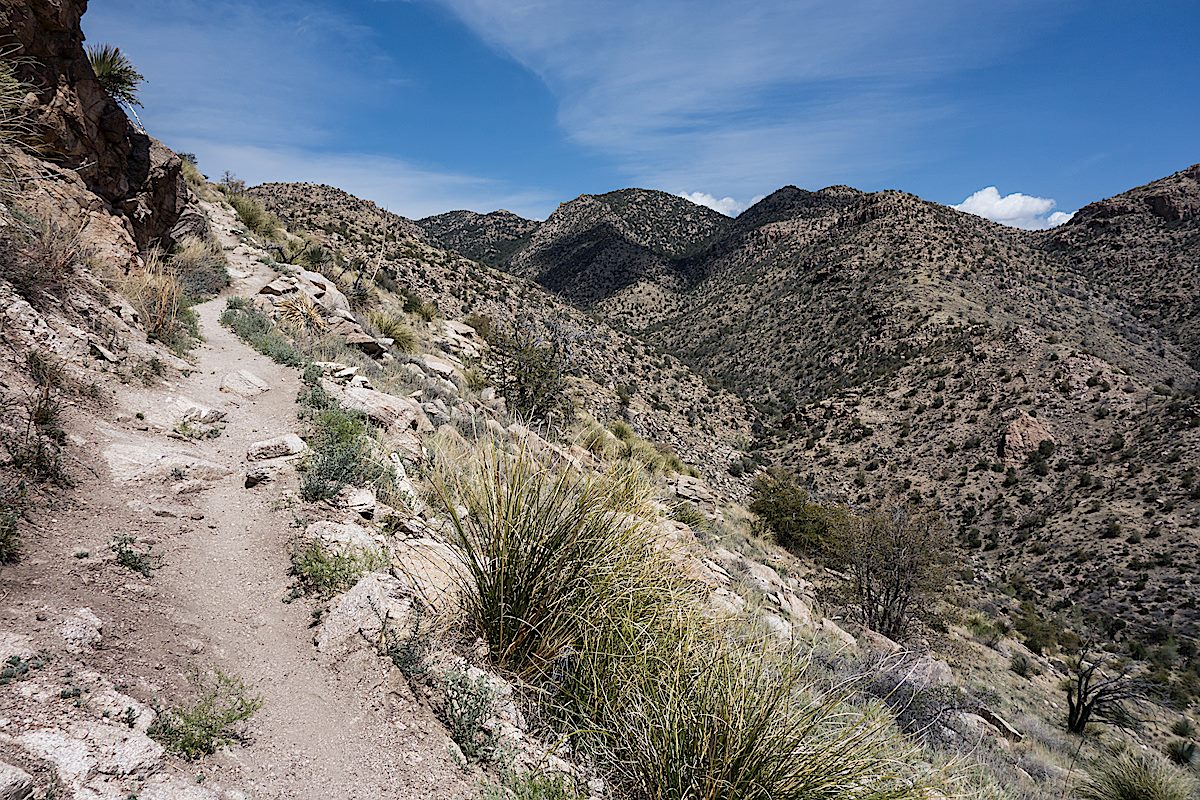 On the Bug Spring Trail climbing to the ridge with the Bug Spring drainage to the east. March 2014