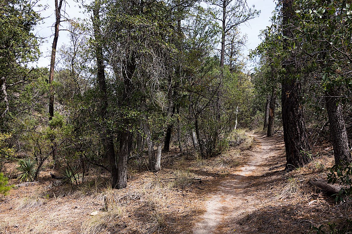 Following the canyon east of Bear Canyon. March 2014