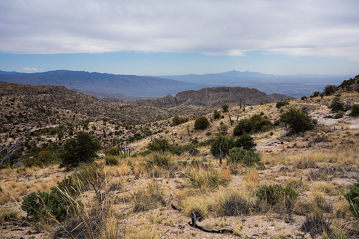 Looking towards the cliffs above Prison Camp with Mount Wrightson in the background. March 2014