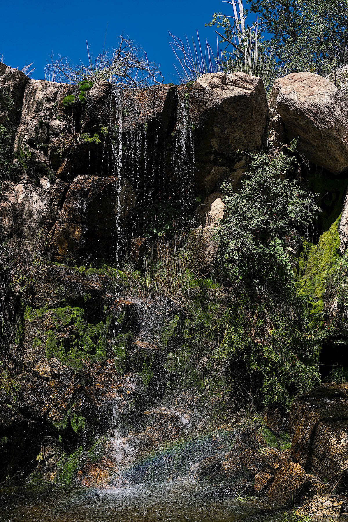 Small falls and pool - in the canyon below Bug Spring. September 2016.