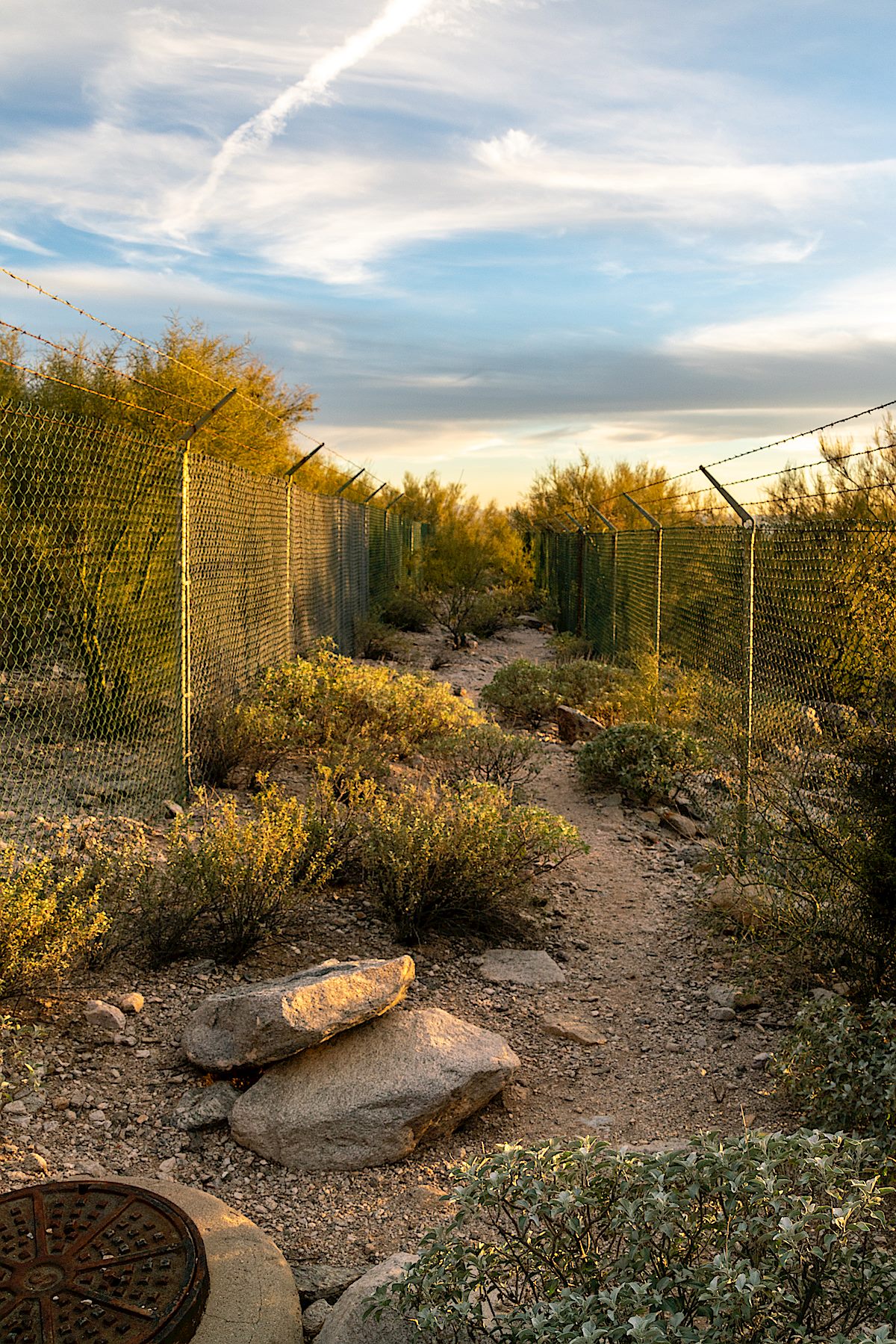 Fenced access trail from the Campbell Trailhead to the Pusch Ridge Wilderness - without an official trail in the Wilderness at the end of the Access Path there is no legal access into the Pusch Ridge Wilderness due to a closure for Bighorn Sheep from January 1 to April 30. January 2019.