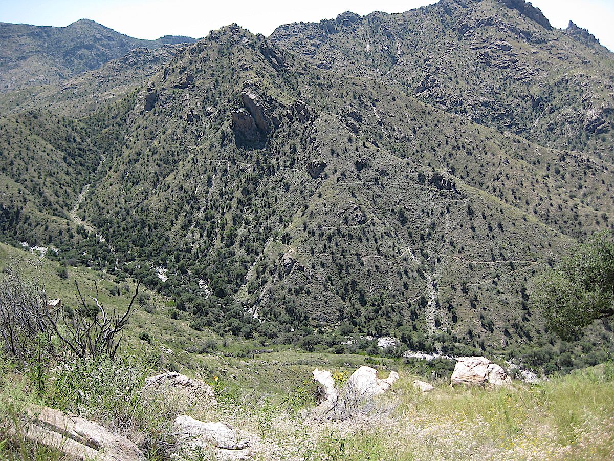 Switchbacks on the East Fork Trail. September 2008.