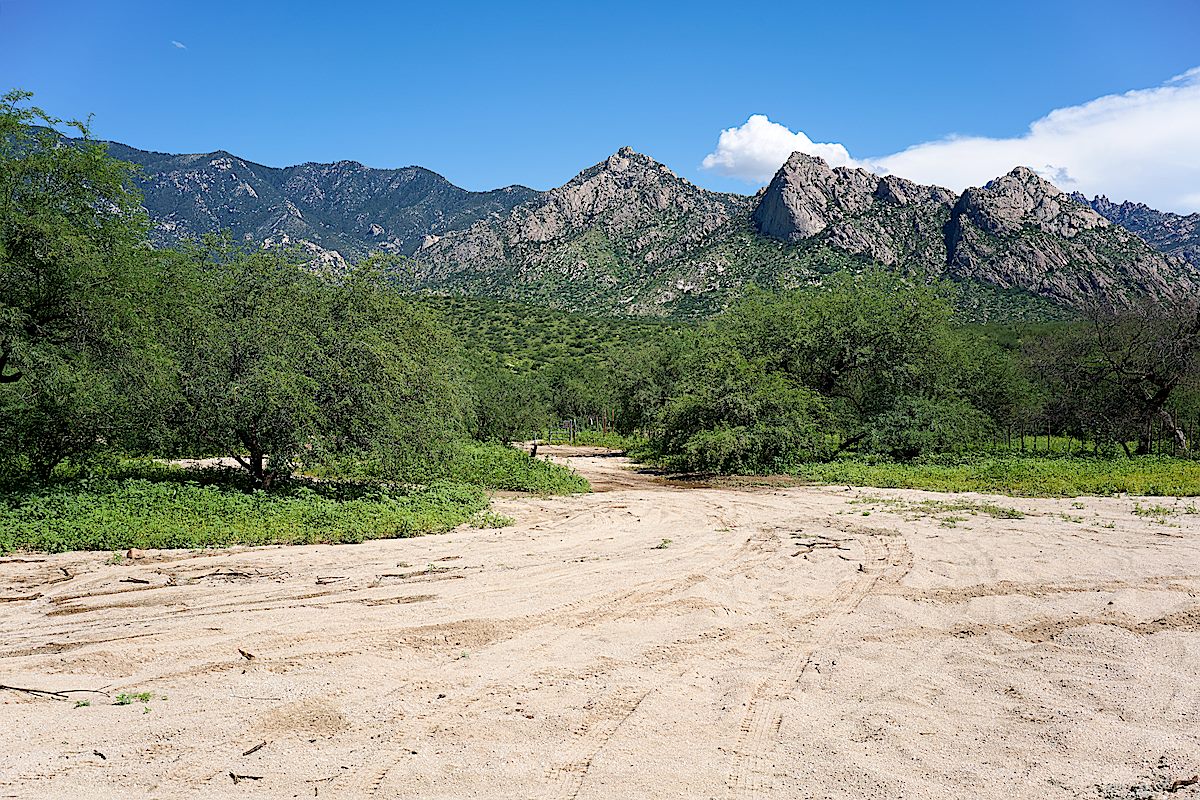 Two gates leaving the Golder Ranch Trailhead - the gate to the left leads into Catalina State Park (a fee area) and to the left the Trail Link trail follows FR643 towards the Sutherland Trail. August 2017.