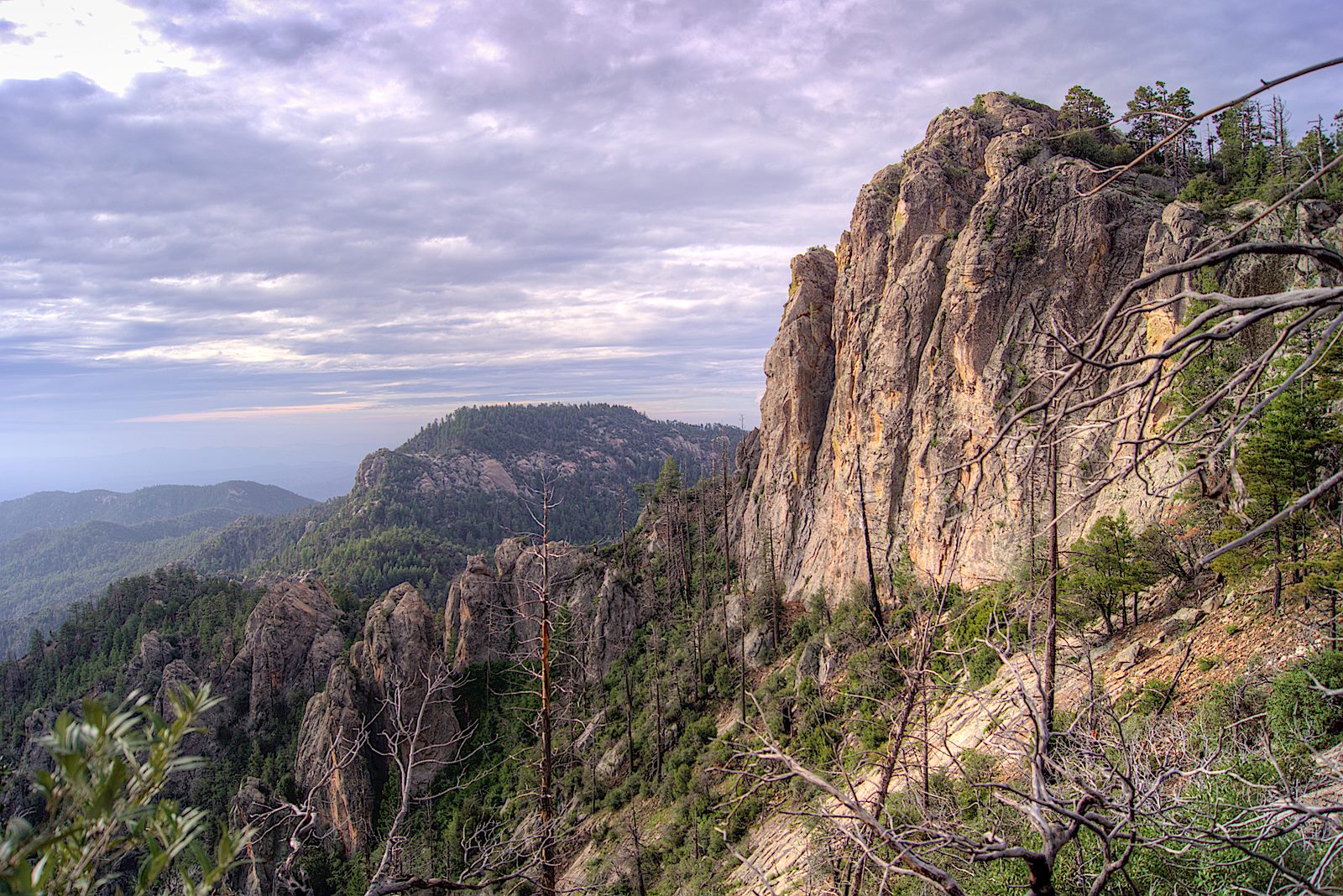 Incinerator Ridge Trail and Kellogg Trail | Hike Lemmon!