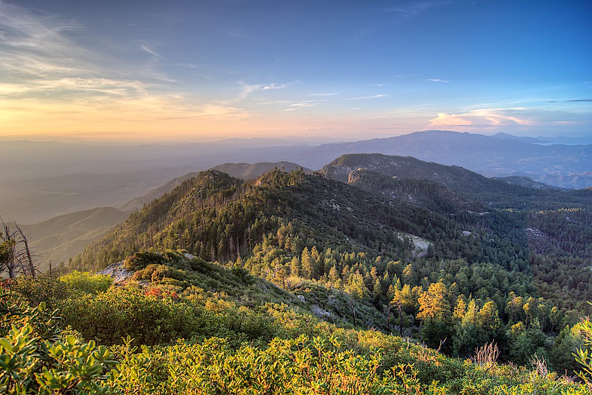 Looking down Incinerator Ridge from Kellogg Mountain. July 2013.