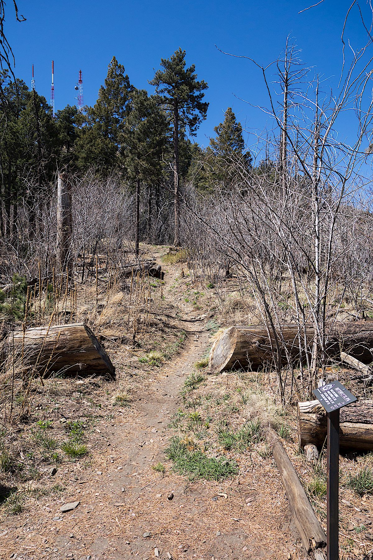 Trail junction with Mount Bigelow in the Background. April 2014.