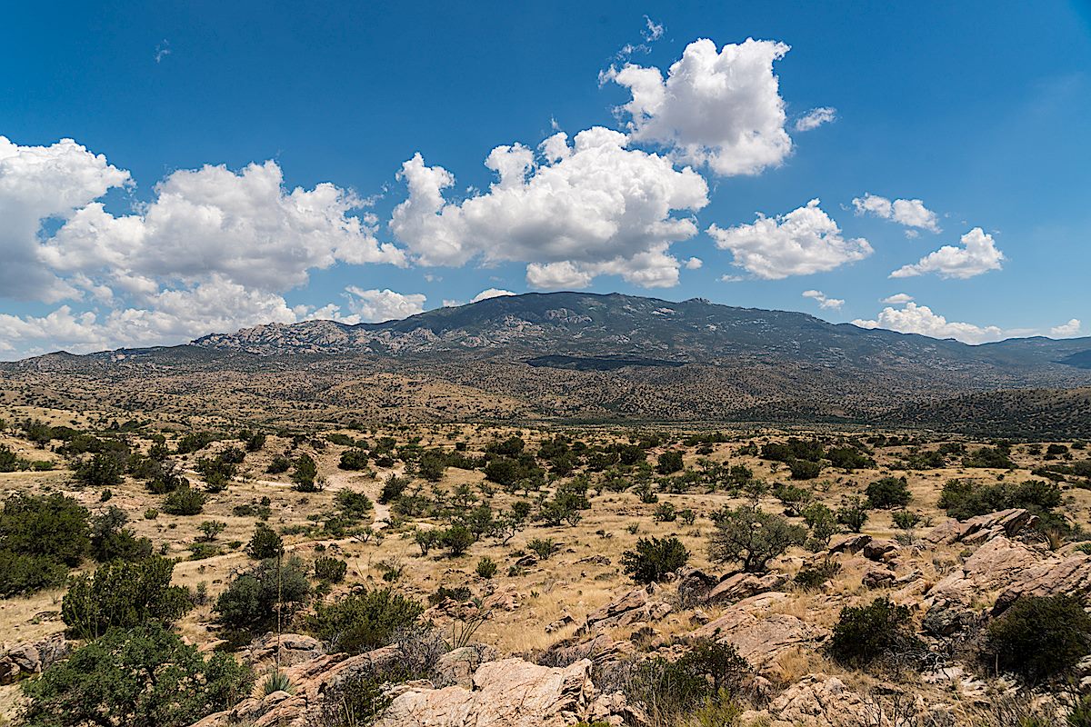 Near the Italian Spring Trailhead looking towards the Rincon Mountains - on the left FR37 heads towards the mountains. June 2016.