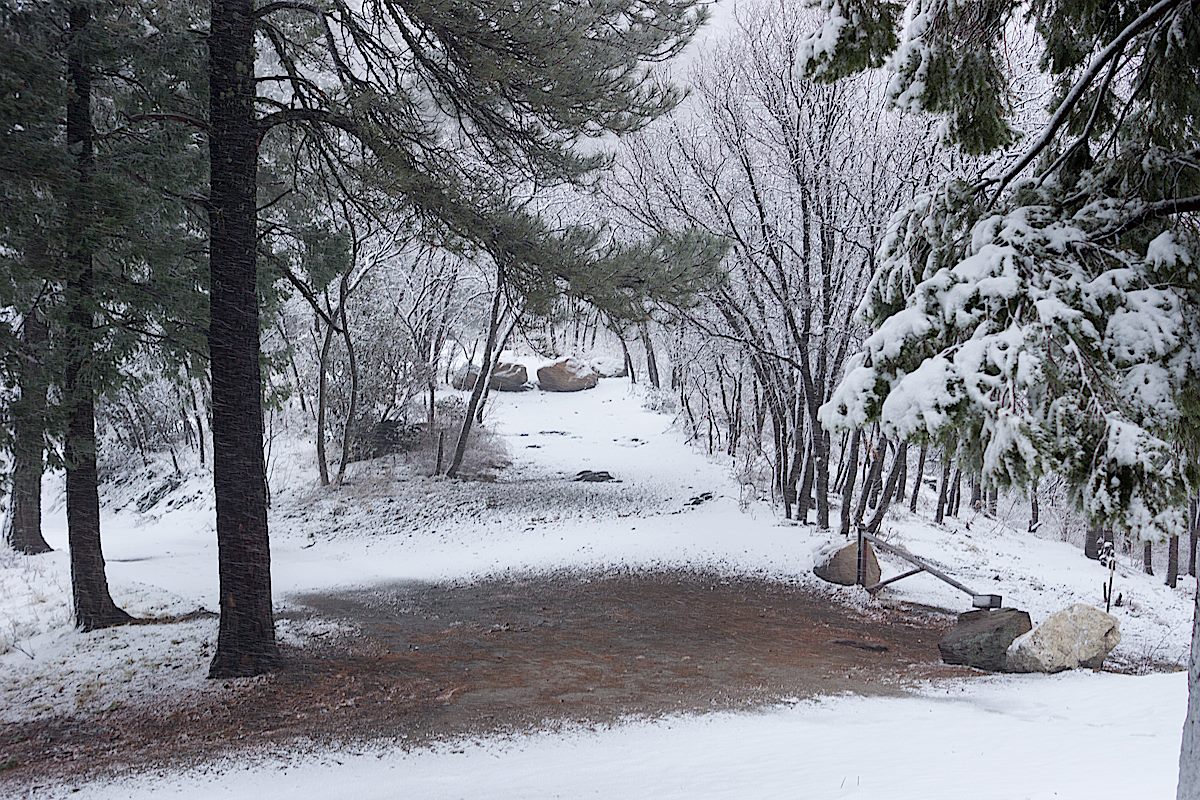The Kellogg Trailhead during a January storm - looking towards one of the popular camp sites. January 2015.