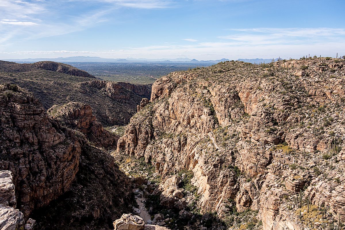 Looking into Agua Caliente Canyon from just off the Milagrosa Trail. December 2014.