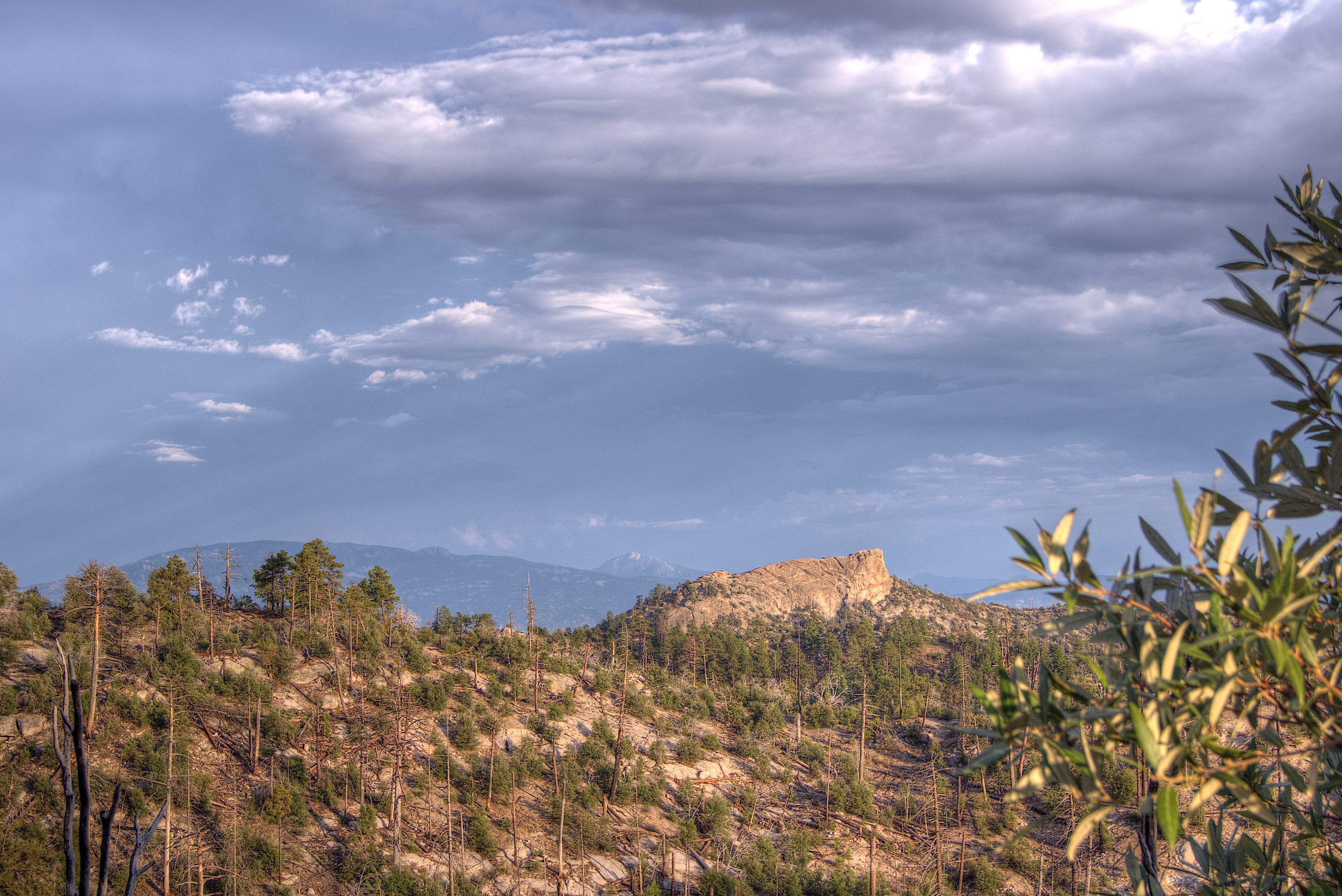 Lizard Rock Hike Lemmon!